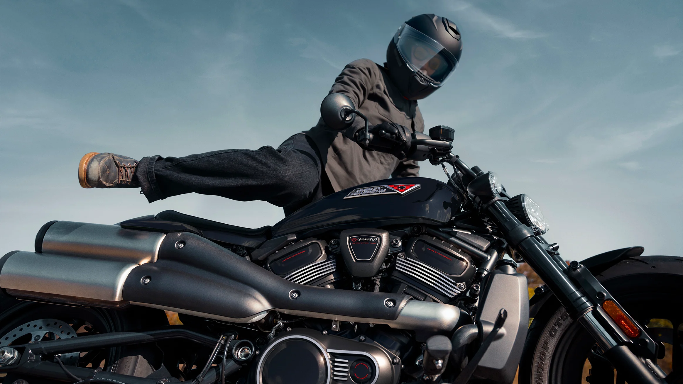 Sportster S Miniatura 5