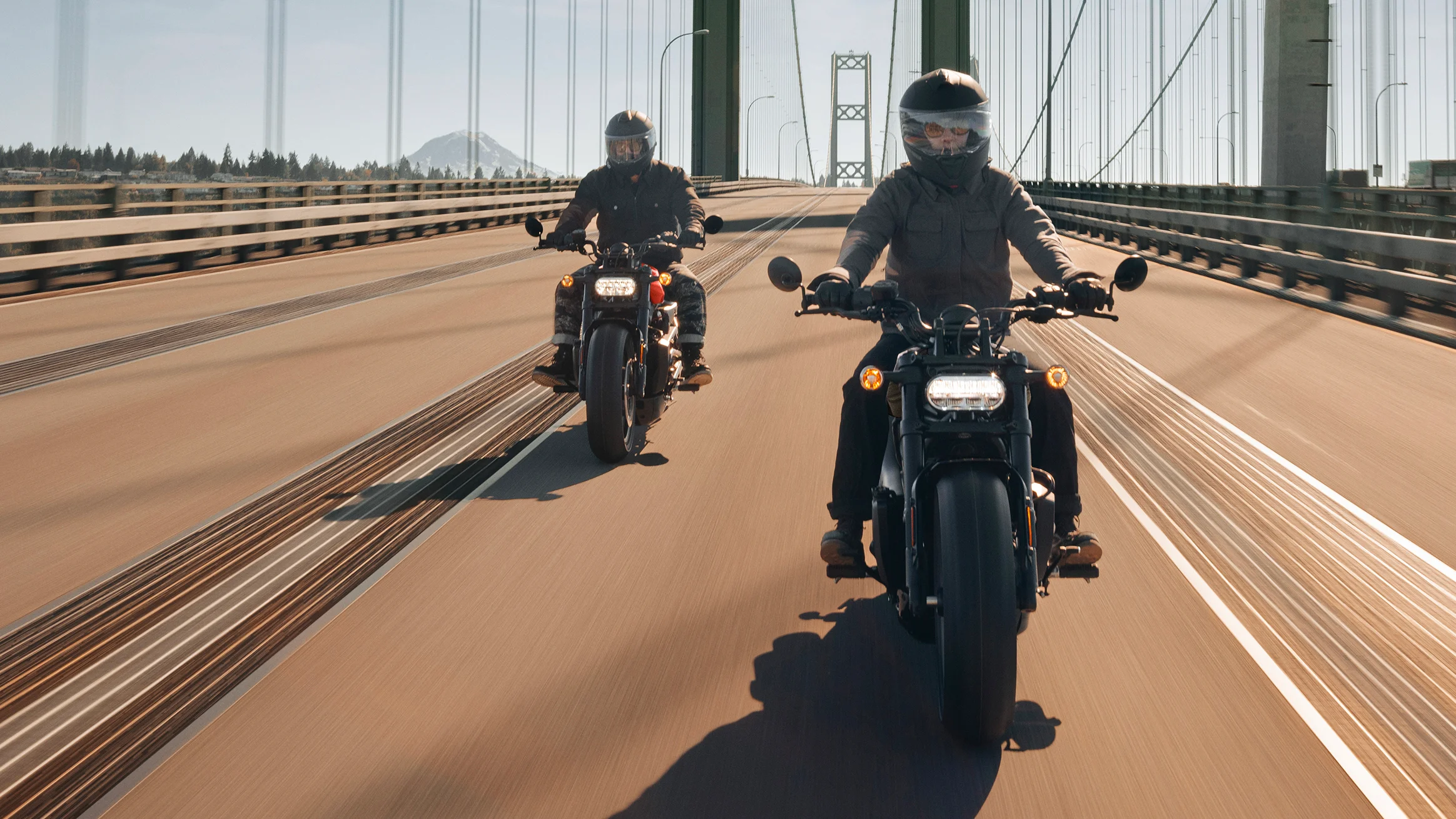 Sportster S Miniatura 3